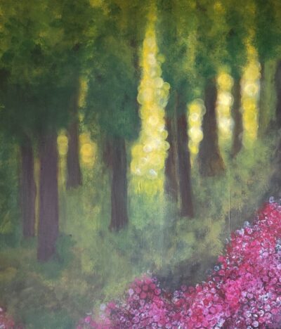 Ulli Drewling - Lichtblick